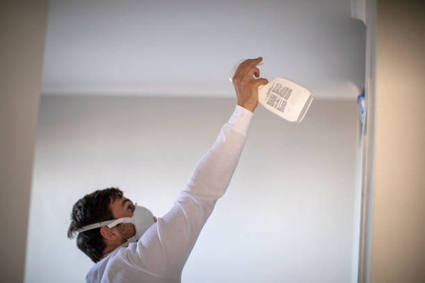 Best Residential Mold Remediation in Granite Quarry, NC