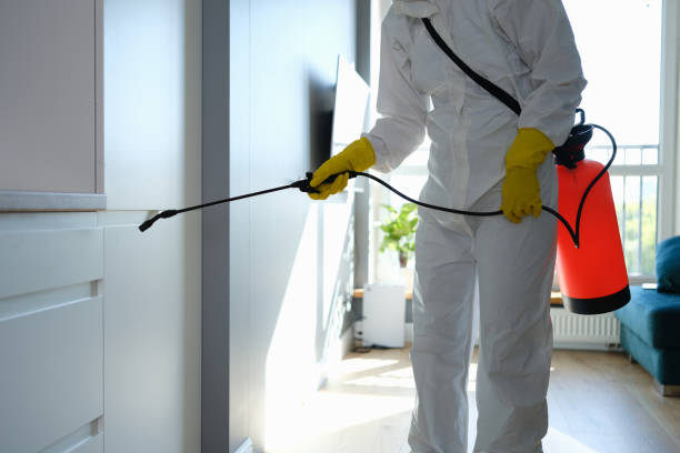 Best Kitchen Mold Remediation in Granite Quarry, NC