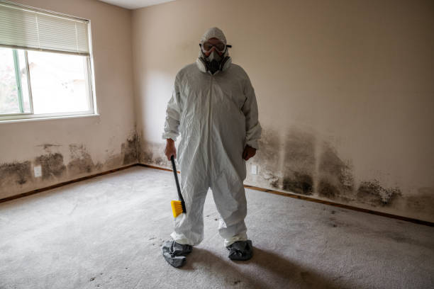 Best Emergency Mold Remediation in Granite Quarry, NC